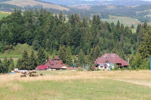 Hotel Goryanyn