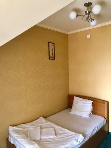 Hotel Chervona Gora