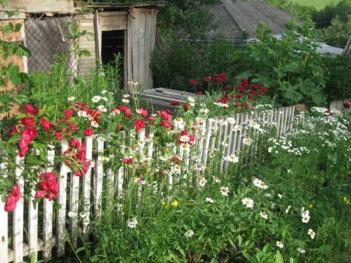 Agroturismo Kalynoviy Kucsh