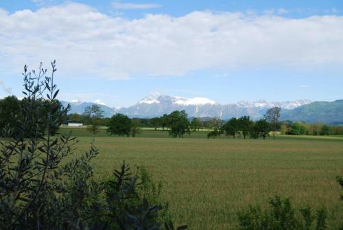 Bed & Breakfast Antico Borgo