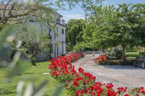B&B Villa Nichesola