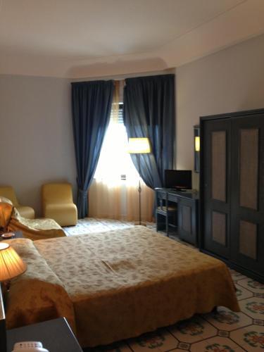 Hotel Ristorante L'anicr�