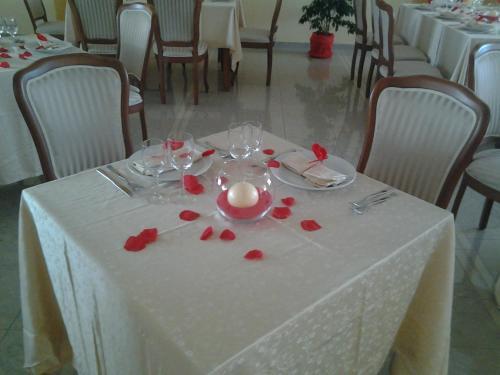Hotel Ristorante L'anicr�