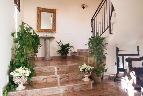 B&B Mareagr�