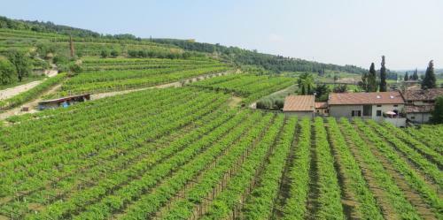 Agroturismo Azienda Agrituristica Corteforte