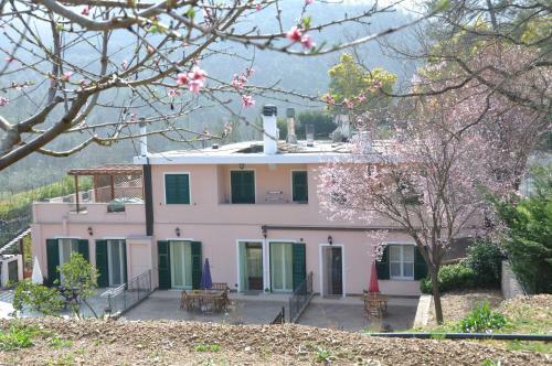 Apartamento Ulivi E Corbezzoli