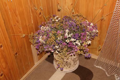 Hostal Cottage Milena