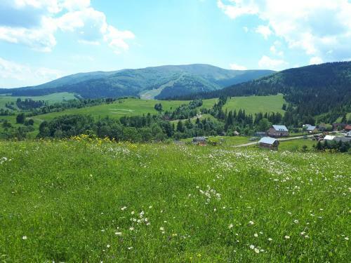 Hostal Guest House Dacha