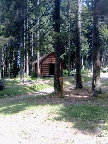 Hostal Guest House Dacha