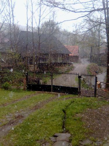 Hostal Guest House Dacha