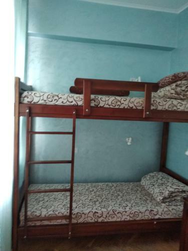 Hostel Druzi