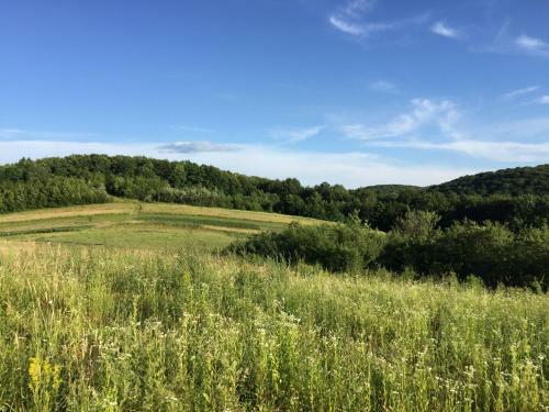 Posada Mini Hotel Solnce Karpat