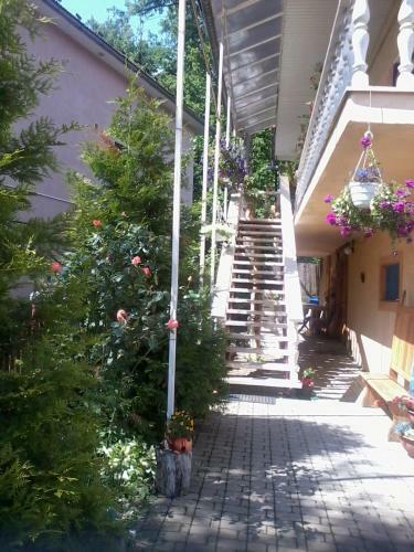 Hostal Guest House Fortuna