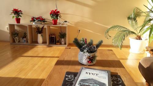 Panoramic Hostel
