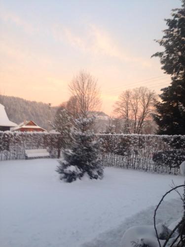Hostal Zorianyy Guest House