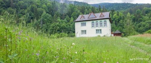 Hostal Schedryk