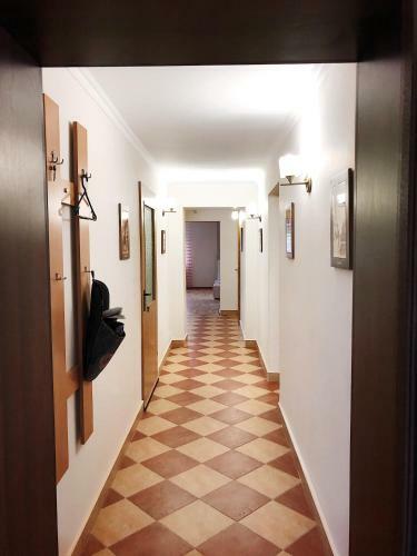 ??????????? ????/apartment Nova
