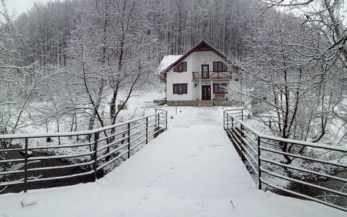 Lodge Bilya Lisu