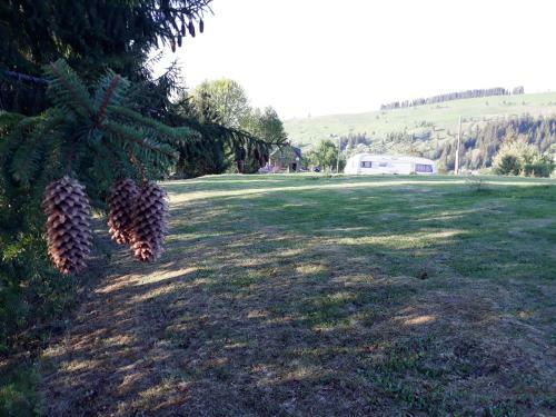 Camping Nad Karpatamy
