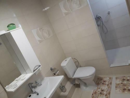 Hotel Chorna Skelya