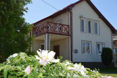 Villa Dom Owerko