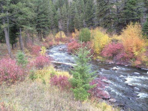 Boulder Creek Lodge