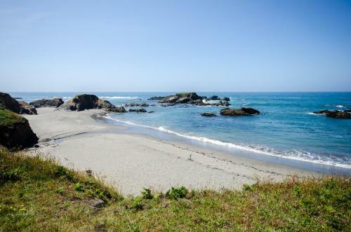 Shell Beach