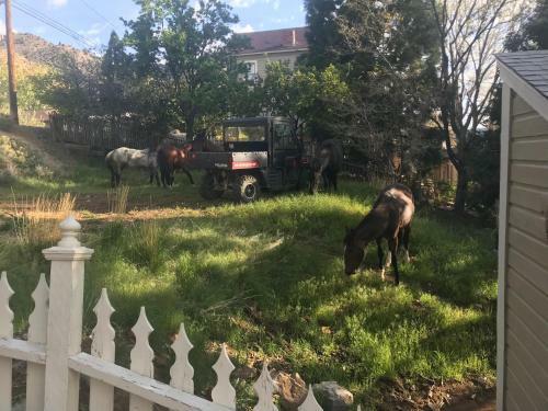 B Street House Bed And Breakfast