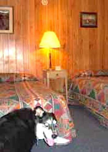 Sage And Sand Motel