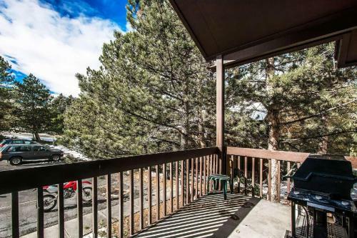 Red Pine Tranquility
