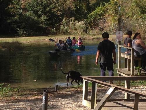 J&d River Rentals