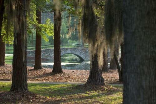 Little Ocmulgee State Park And Lodge