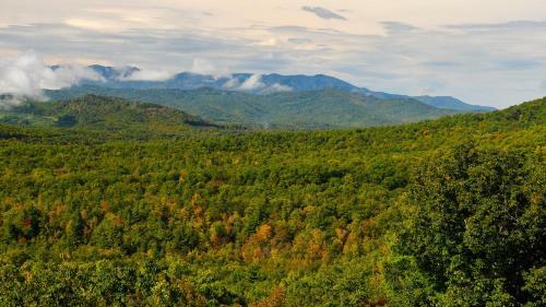 Hotel Bear Den Mountain Resort