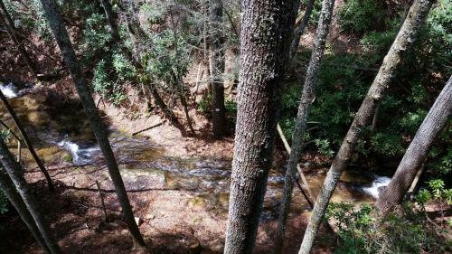 Hotel Bear Den Mountain Resort