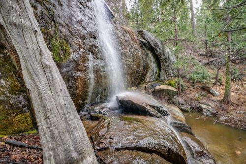 Forest Falls