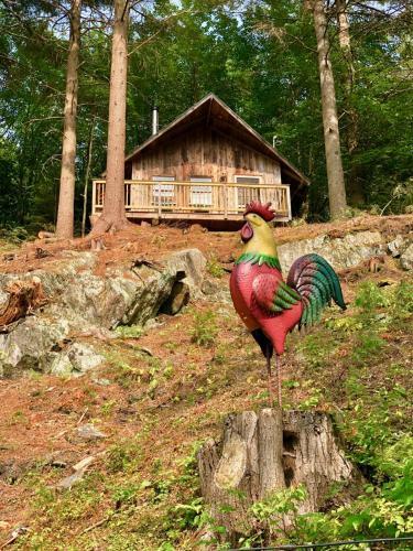 Grunberg Haus Bed & Breakfast Inn & Cabins