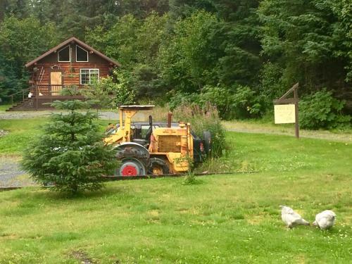Andersen's Evergreen Cabin