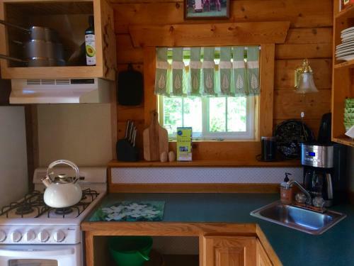 Andersen's Evergreen Cabin