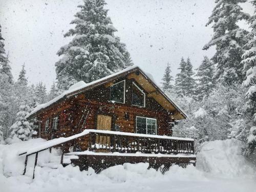 Andersen's Evergreen Cabin