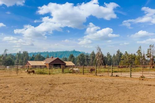 Hare Lane 05 | Discover Sunriver