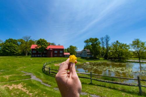 Bed & Breakfast Inn At Tyler Hill