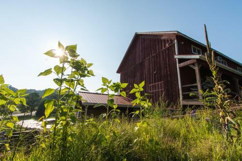 Bed & Breakfast Inn At Tyler Hill