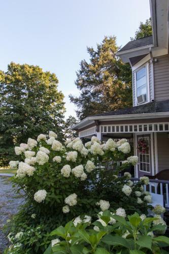 Bed & Breakfast Inn At Tyler Hill