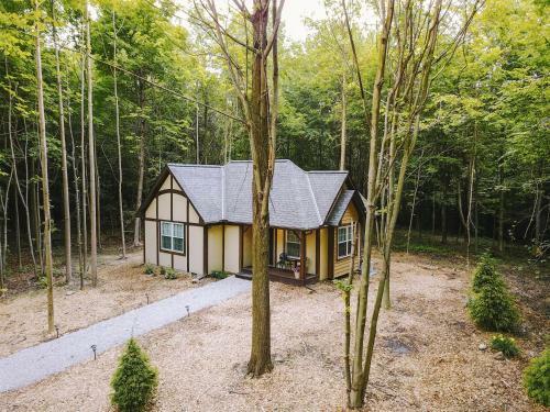 Lodge Vineyard Woods