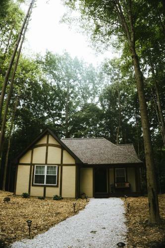 Lodge Vineyard Woods