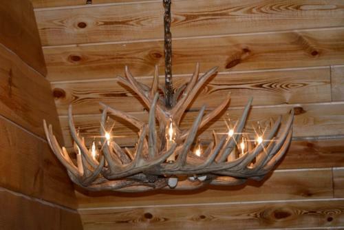 Rustic Cabin Rental