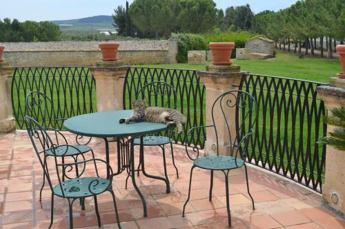 Agroturismo Tenuta Leone