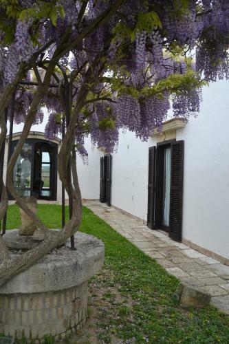 Agroturismo Tenuta Leone