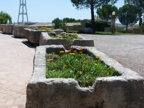 Agroturismo Tenuta Leone
