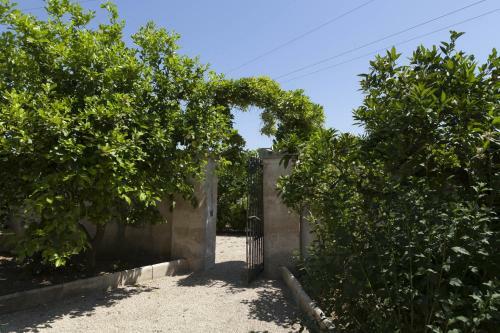 Bed & Breakfast Casa Vacanze Villa Urso